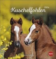 Cover von Kuschelfohlen Postkartenkalender 2024