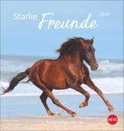 Cover von Starke Freunde 2027