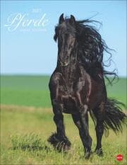 Cover von Pferde 2027