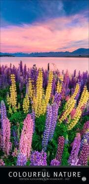 Cover von Colourful Nature 2027