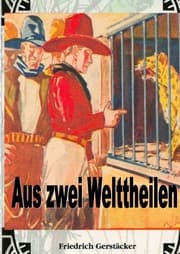 Cover von Aus zwei Welttheilen