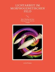 Cover von Lichtarbeit im morphogenetischen Feld