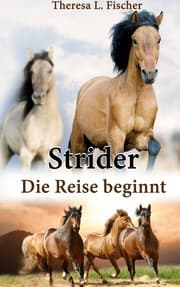Cover von Strider
