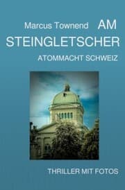 Cover von Am Steingletscher