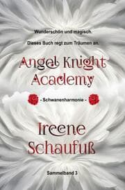 Cover von Angel Knight Academy 3 Sin Academy