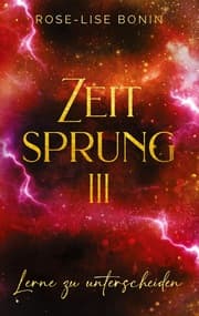 Cover von Zeitsprung III