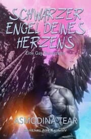 Cover von Schwarzer Engel deines Herzens - Eine Gay-Romantasy