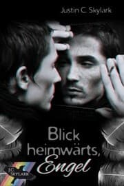 Cover von Blick heimwärts, Engel