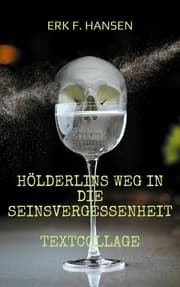 Cover von Hölderlins Weg in die Seinsvergessenheit