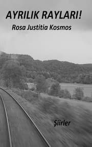 Cover von AYRILIK RAYLARI