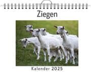 Cover von Ziegen - (Wandkalender 2025, Kalender DIN A4 quer, Monatskalender im Querformat mit Kalendarium, das perfekte Geschenk)