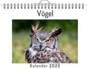 Cover von Vögel - (Wandkalender 2025, Kalender DIN A4 quer, Monatskalender im Querformat mit Kalendarium, das perfekte Geschenk)
