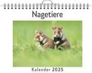 Cover von Nagetiere - (Wandkalender 2025, Kalender DIN A4 quer, Monatskalender im Querformat mit Kalendarium, das perfekte Geschenk)