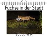 Cover von Füchse in der Stadt