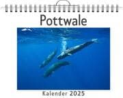 Cover von Pottwale