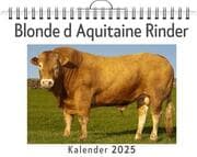 Cover von Blonde d Aquitaine Rinder