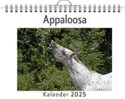 Cover von Appaloosa