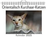 Cover von Orientalisch Kurzhaar-Katzen