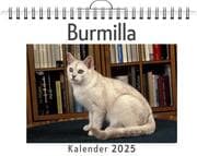 Cover von Burmilla