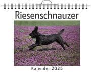 Cover von Riesenschnauzer