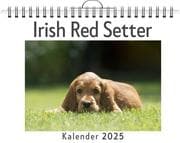 Cover von Irish Red Setter