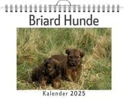 Cover von Briard Hunde