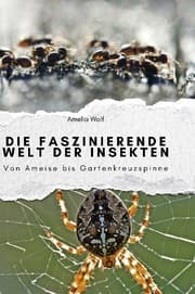 Cover von Die faszinierende Welt der Insekten