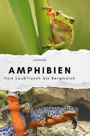 Cover von Amphibien