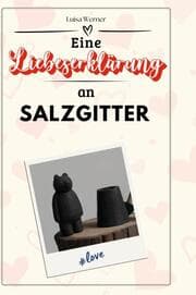 Cover von Eine Liebeserklärung an Salzgitter