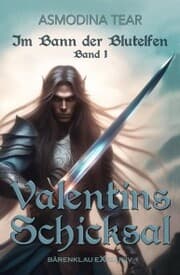 Cover von Im Bann der Blutelfen, Band 1: Valentins Schicksal