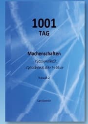 Cover von 1001 TAG Machenschaften Band 2
