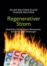 Cover von Regenerativer Strom