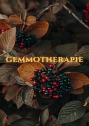 Cover von Gemmotherapie: Hilfe in der Naturheilkunde - BONUS Rezepte 2023 -: Die geheime Energie der Natur für ganzheitliche Gesundheit und Vitalität - SONDERAUSGABE