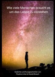 Cover von Wie viele Menschen braucht es um das Leben zu verstehen