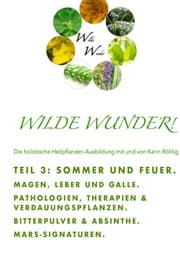 Cover von Wilde Wunder! TAM 3 - Sommer und Feuer. Magen, Leber und Galle. Marssignaturen.