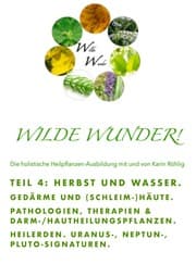 Cover von Wilde Wunder! TAM 4 - Därme und (Schleim-)Häute. Immunsystem I. Pluto-, Uranus-, Neptunsignaturen
