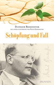 Cover von Schöpfung und Fall