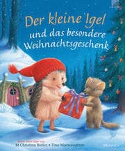 Cover von Der kleine Igel und das besondere Weihnachtsgeschenk