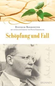 Cover von Schöpfung und Fall