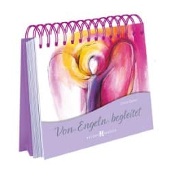 Cover von Von Engeln begleitet