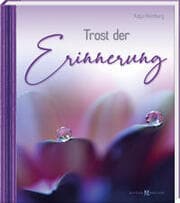 Cover von Trost der Erinnerung