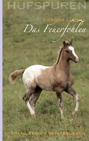 Cover von Hufspuren: Das Feuerfohlen
