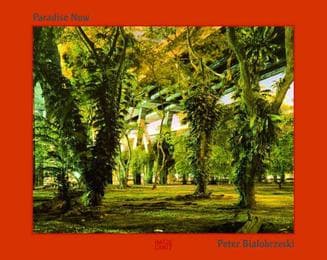 Cover von Paradise Now
