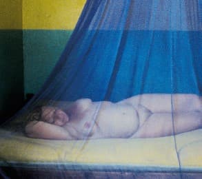 Cover von Ulrich Seidl: Paradies - Liebe, Glaube, Hoffnung
