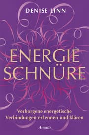 Cover von Energieschnüre