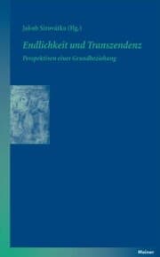 Cover von Endlichkeit und Transzendenz