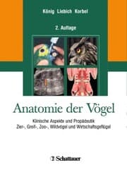 Cover von Anatomie der Vögel