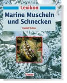 Cover von Marine Muscheln/Schnecken