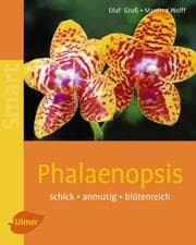 Cover von Phalaenopsis