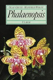 Cover von Phalaenopsis